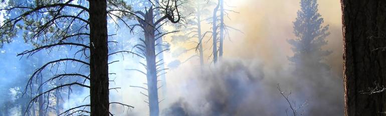 The Greek Ministry of Environment uses real time satellite data to detect fires
