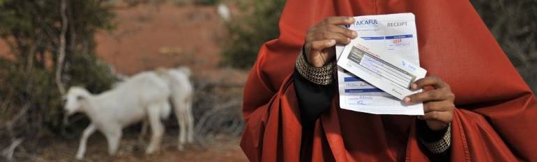 Kenya: an insurance scheme based on satellite data for vulnerable pastoralists